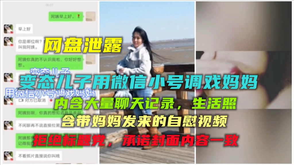 变态儿子用微信小号调戏妈妈海报剧照